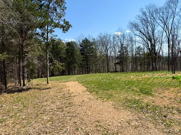 290 Mccord Bend RD, Galena, MO 65656