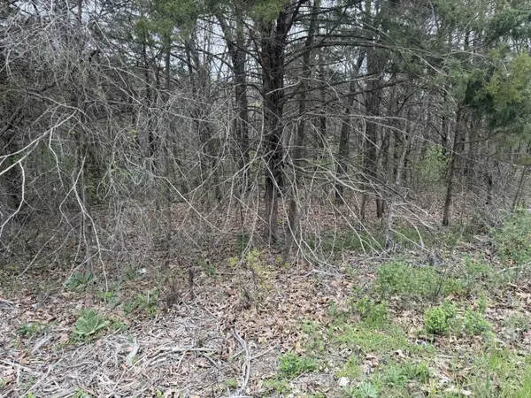 002 Holiday Hills DR, Cape Fair, MO 65624