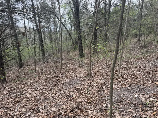 002 Holiday Hills DR, Cape Fair, MO 65624