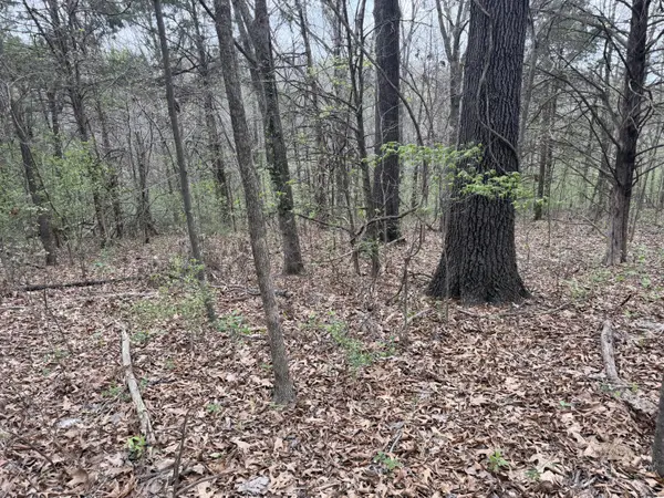 002 Holiday Hills DR, Cape Fair, MO 65624