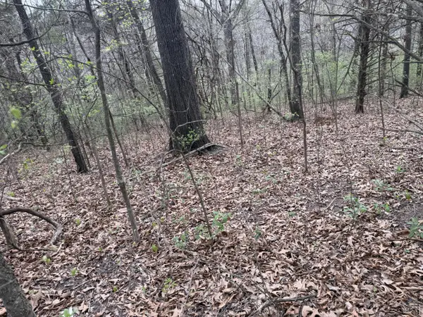 002 Holiday Hills DR, Cape Fair, MO 65624