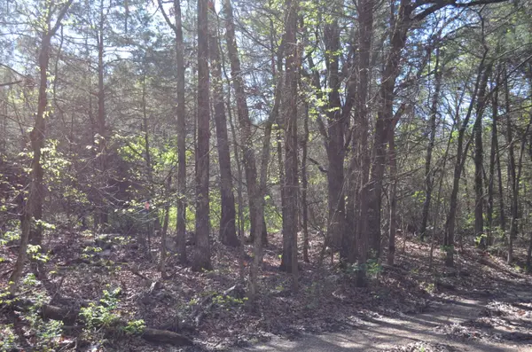 000 Persimmon Hill LN, Lampe, MO 65681