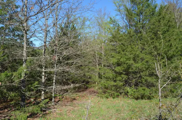 000 Persimmon Hill LN, Lampe, MO 65681