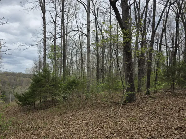 000 Fr 2285, Golden, MO 65658