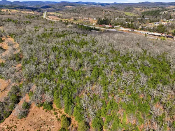 Lot 1 Mm Highway, Gainesville, MO 65655