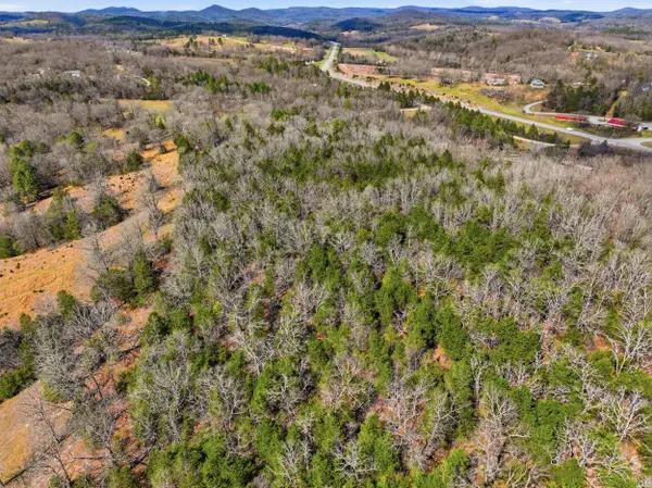 Lot 1 Mm Highway, Gainesville, MO 65655
