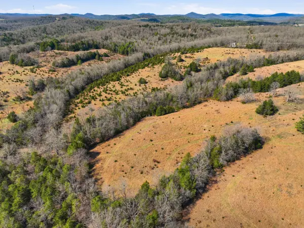 Lot 2 Fox Den Lane ST, Gainesville, MO 65655