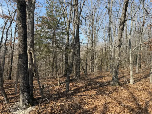 Lot 112 Walnut Springs DR, Cape Fair, MO 65624