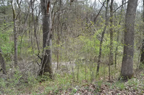 000 Poplar RD, Merriam Woods, MO 65740