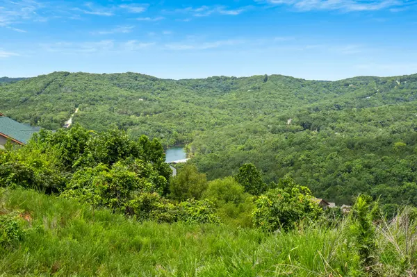 Tbd Songbird CIR #Lots 1,2,3,4,9,12,13, Indian Point, MO 65616