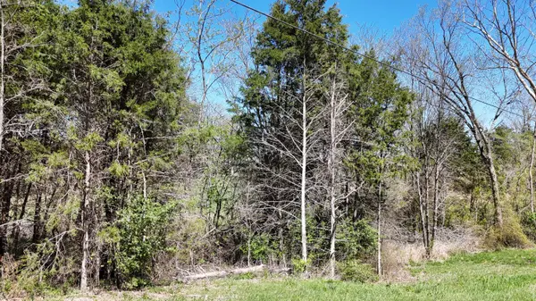 Lot #17 Farm Road 2262, Golden, MO 65658