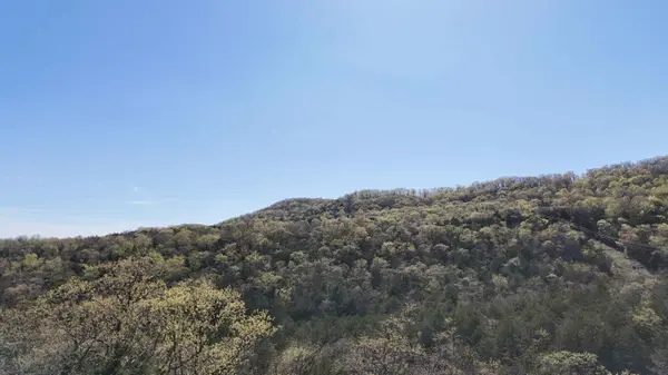 Lot #25 Gumbo Woods, Shell Knob, MO 65747