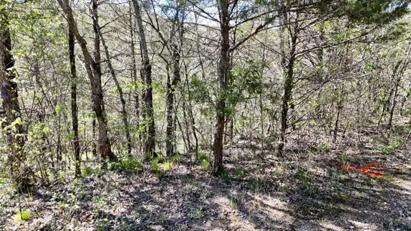 Lot #46 Gumbo Woods, Shell Knob, MO 65747
