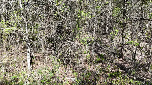 Lot #50 Gumbo Woods, Shell Knob, MO 65747