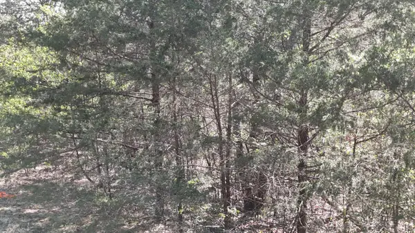 Lot #94 Gumbo Woods, Shell Knob, MO 65747