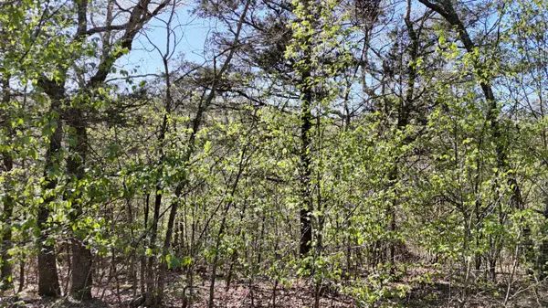 Lot #94 Gumbo Woods, Shell Knob, MO 65747