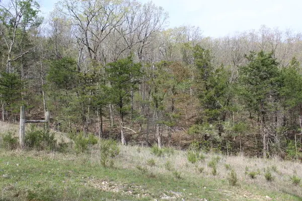 000 County Road 831, Gainesville, MO 65655