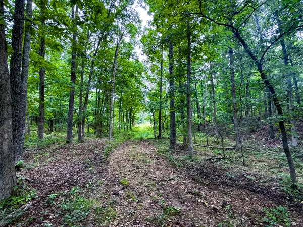 5748 County Road 3850, Peace Valley, MO 65788