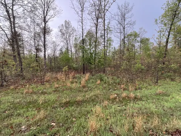 Lot 9 Lake WAY, Winona, MO 65588
