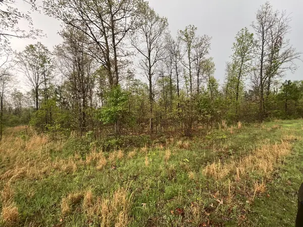 Lot 9 Lake WAY, Winona, MO 65588
