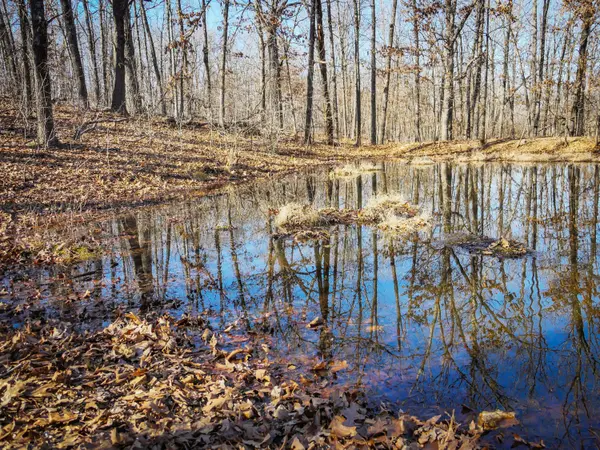 000 Ridge Trail RD #Lot B, Tunas, MO 65764