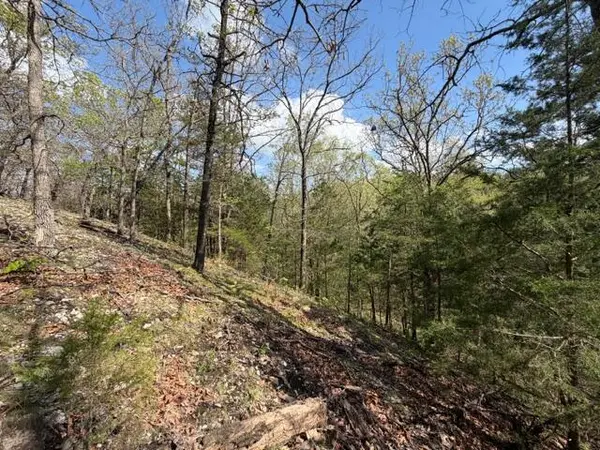 Tbd W Farm Road 34, Brighton, MO 65617