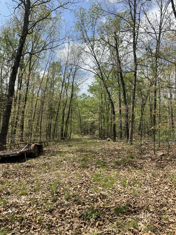 000 State Hwy N Tract B, Ava, MO 65608