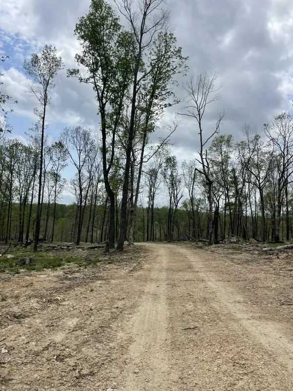 000 St Hwy N Tract E, Ava, MO 65608