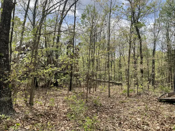 000 State Hwy N, Tract G, Ava, MO 65608