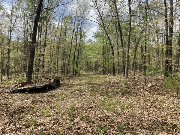 000 State Hwy N, Tract G, Ava, MO 65608
