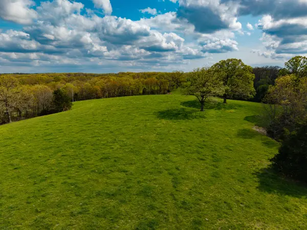 382 Iorg LN, Sparta, MO 65753