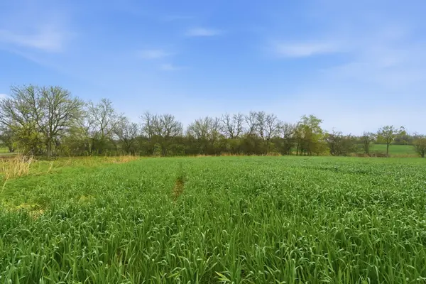 Lot 5 Lawrence 2160, Marionville, MO 65705