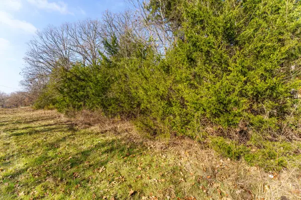 Lot 4 Whittaker LN, Lampe, MO 65681