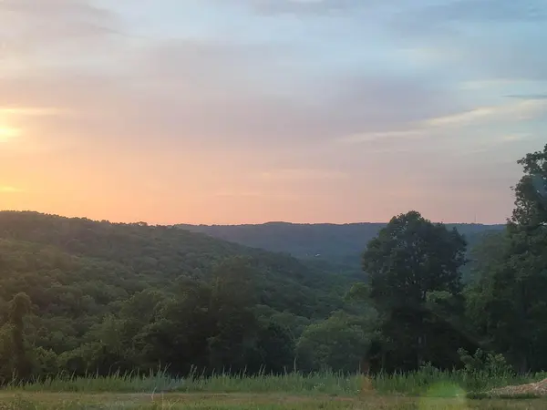 311 Tipton Mountain RD, Reeds Spring, MO 65737
