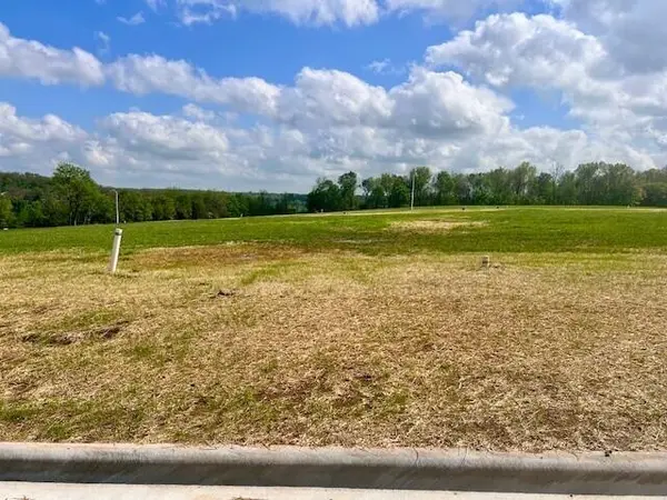 Lot 1 Anthony Park 6th Addition, Springfield, MO 65810