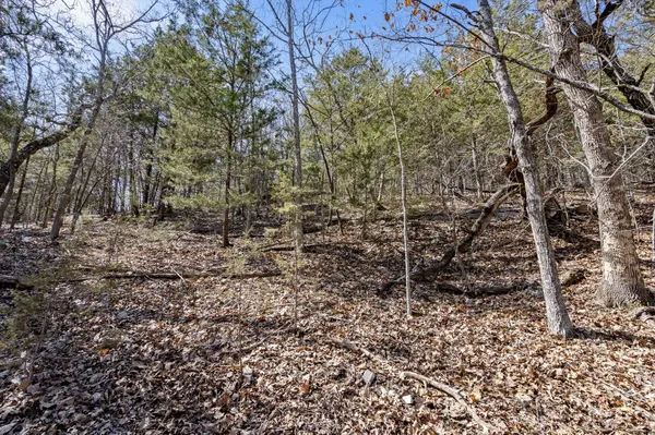 00 Map LN, Branson, MO 65616