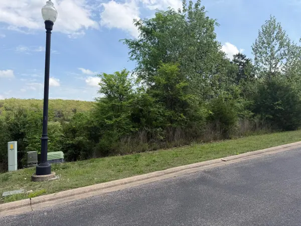 198 Royal Dornoch DR, Branson, MO 65616