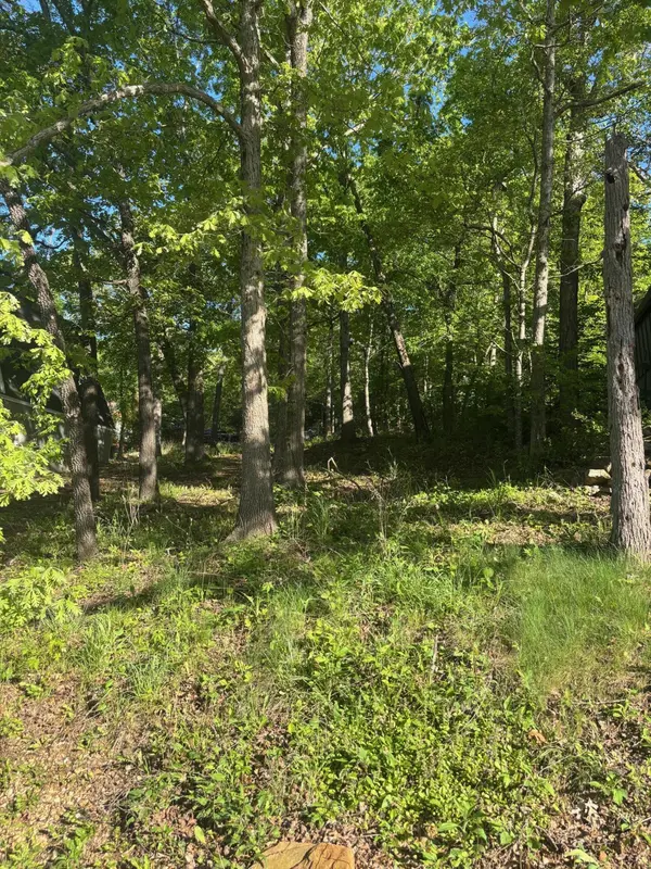 Tbd Black Oak Resort LN, Lampe, MO 65681