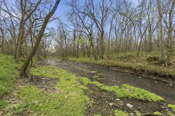 Lot 7 Ireson Estates, Stockton, MO 65785
