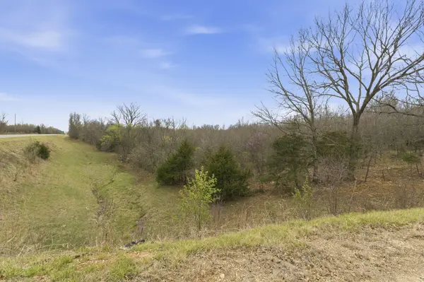 Lot 13 Ireson Estates, Stockton, MO 65785