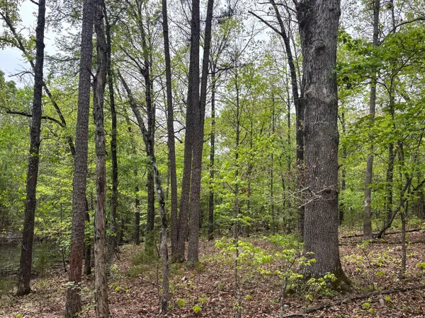 000 County Road 122, Wasola, MO 65773