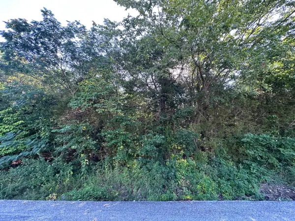 000 Hillsboro Drive, Galena, MO 65656