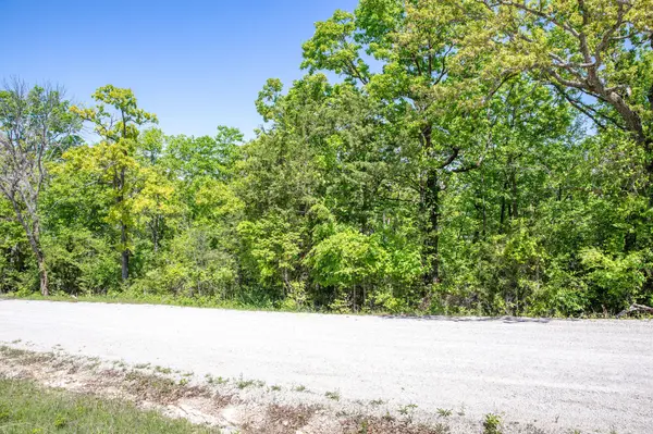 250 Oak Drive Lots 2 & 23, Ridgedale, MO 65739