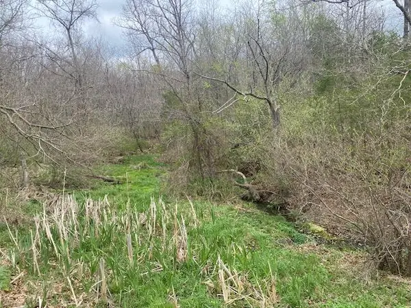 000 Washboard RD, Fordland, MO 65652
