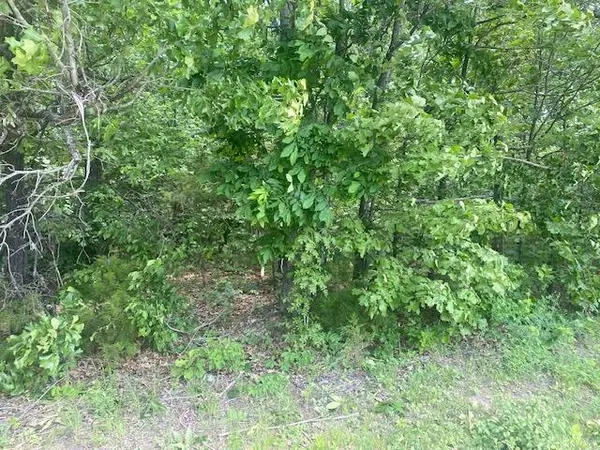 000 Washboard RD, Fordland, MO 65652