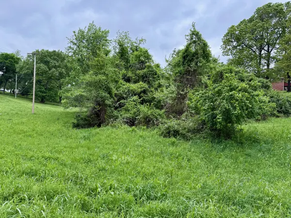 Xxx Deer Ridge RD, Neosho, MO 64850
