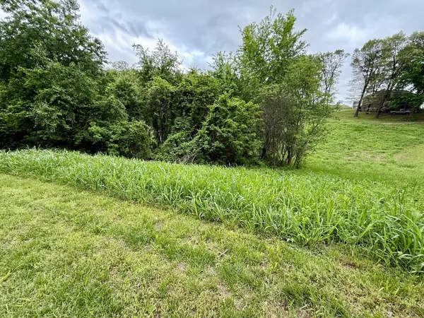 Xxx Deer Ridge RD, Neosho, MO 64850