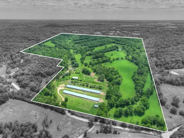 1648 Pack RD, Noel, MO 64854