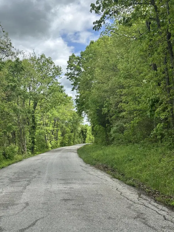Tract 3 W Farm Road 36, Willard, MO 65781