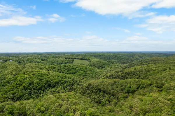 6891 N State Highway 125, Bradleyville, MO 65614